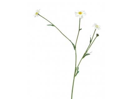 Innovative Hlavac Scabiosa bily 45cm