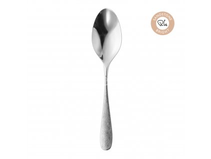 SANBR1050L Sandstone Serving Spoon wb