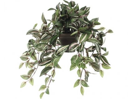 Mica Decorations Tradescantia listy