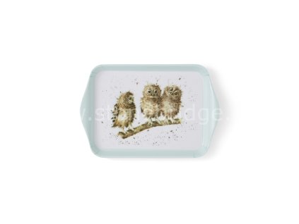 Wrendale Owl Scatter Tray