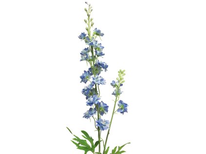 innovative ostrozka stracka delphinum agathe blue