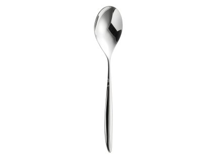 Hidcote soup spoon