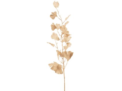 Innovative Ginko zlata
