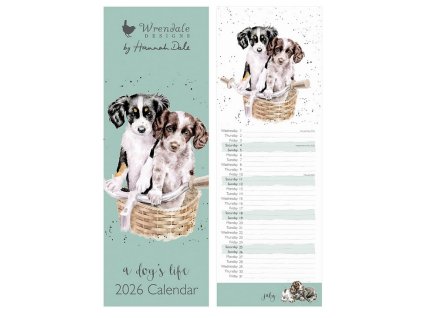 Snímek obrazovky 2025 08 29 124347