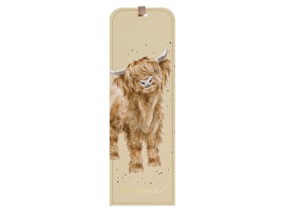 Snímek obrazovky 2025 11 20 173237