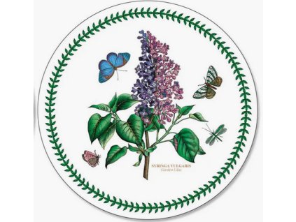 Snímek obrazovky 2026 01 08 174037