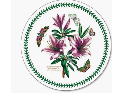 Snímek obrazovky 2026 01 08 174107