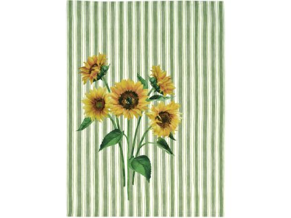 Saner uterka Sun Kitchen GT