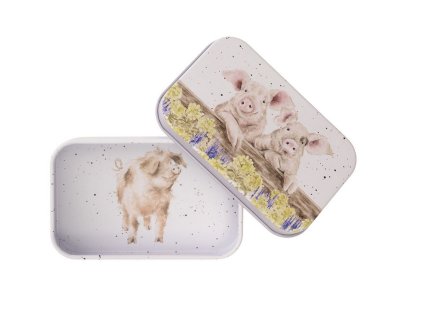 Snímek obrazovky 2026 01 31 115859