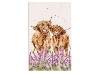 Snímek obrazovky 2026 01 31 121603