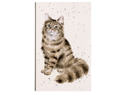 Snímek obrazovky 2026 01 31 121022