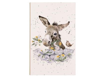 Snímek obrazovky 2026 01 31 120929