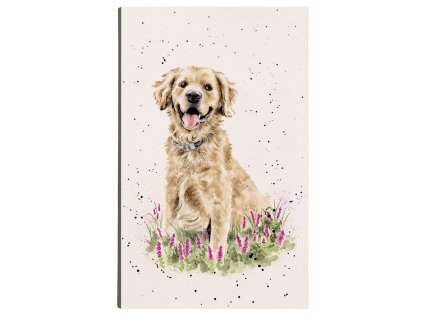 Snímek obrazovky 2026 01 31 120803