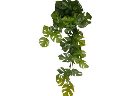 Monstera Zavesna listova dekorace(1)
