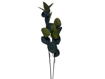 About Art Green Apple Eukalyptus Blahovicnik DEF