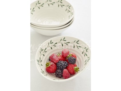 sophie conran mistletoe bowls with close up bowl of fruit 2019