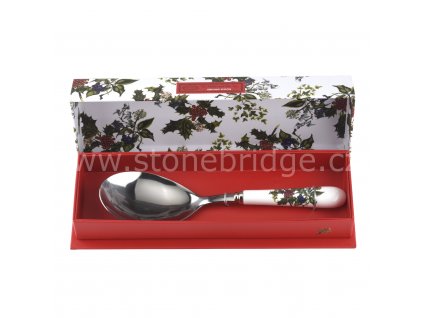 HV1106 Serving Spoon with Box