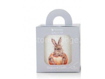 Wrendale svíčka v porcelánové dóze v krabičce Pumpkin Patch Rabbit s králíčkem