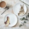 Wrendale Coupe plates bunny duck3