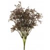 Innovative Gypsophilia jarni ker fialova