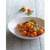 Sophie Conran miska email statement bowl