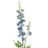 innovative ostrozka stracka delphinum agathe blue