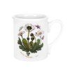 Botanic Garden motiv 48