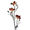 Innovative magnolie hneda(1)