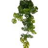Monstera Zavesna listova dekorace(1)