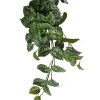 Splhavnice Potos zavesna listova dekorace(1)