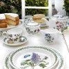 botanic garden on table with cake portmeirion 29