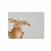 wrendale coloured green hare large placemats s 4 3
