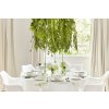 SOPHIE CONRAN MISTLETOE TABLE SETTING WITH GREEN CENTREPIECE AND CHAMPAGNE 2019
