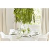 SOPHIE CONRAN MISTLETOE TABLE SETTING WITH GREEN CENTREPIECE AND CHAMPAGNE 2019