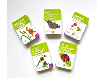 Vějíře - hmyz, motýli a housenky, užitečné plevele, ptáci, jedlé květy