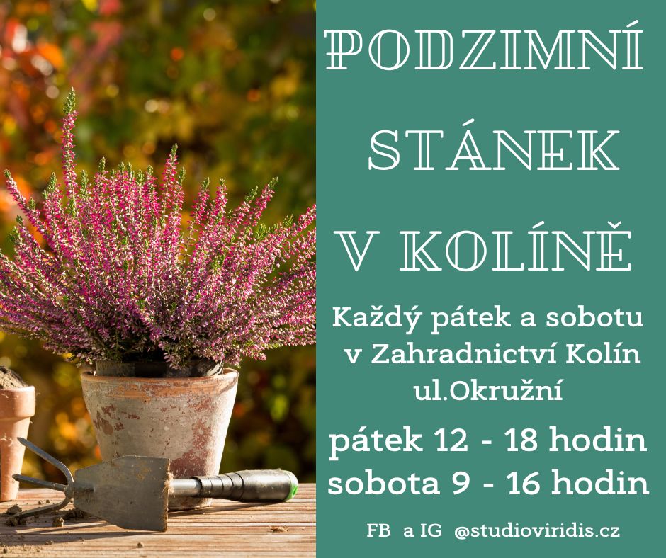 Pozvánka na podzimní stánek v Kolíně