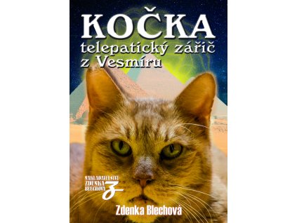 Slon láska osamělost a vztahy
