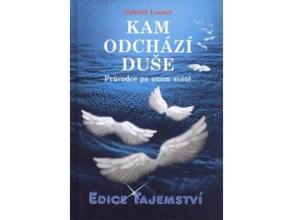 Gabriel Looser: Kam odchází duše - Průvodce po onom světě