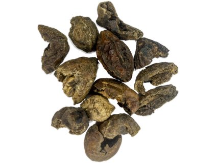 Haritaki - Terminalia chebula (na váhu)
