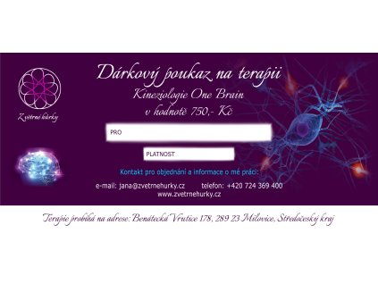 Z větrné hůrky kineziologie