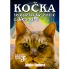 kocka blechova