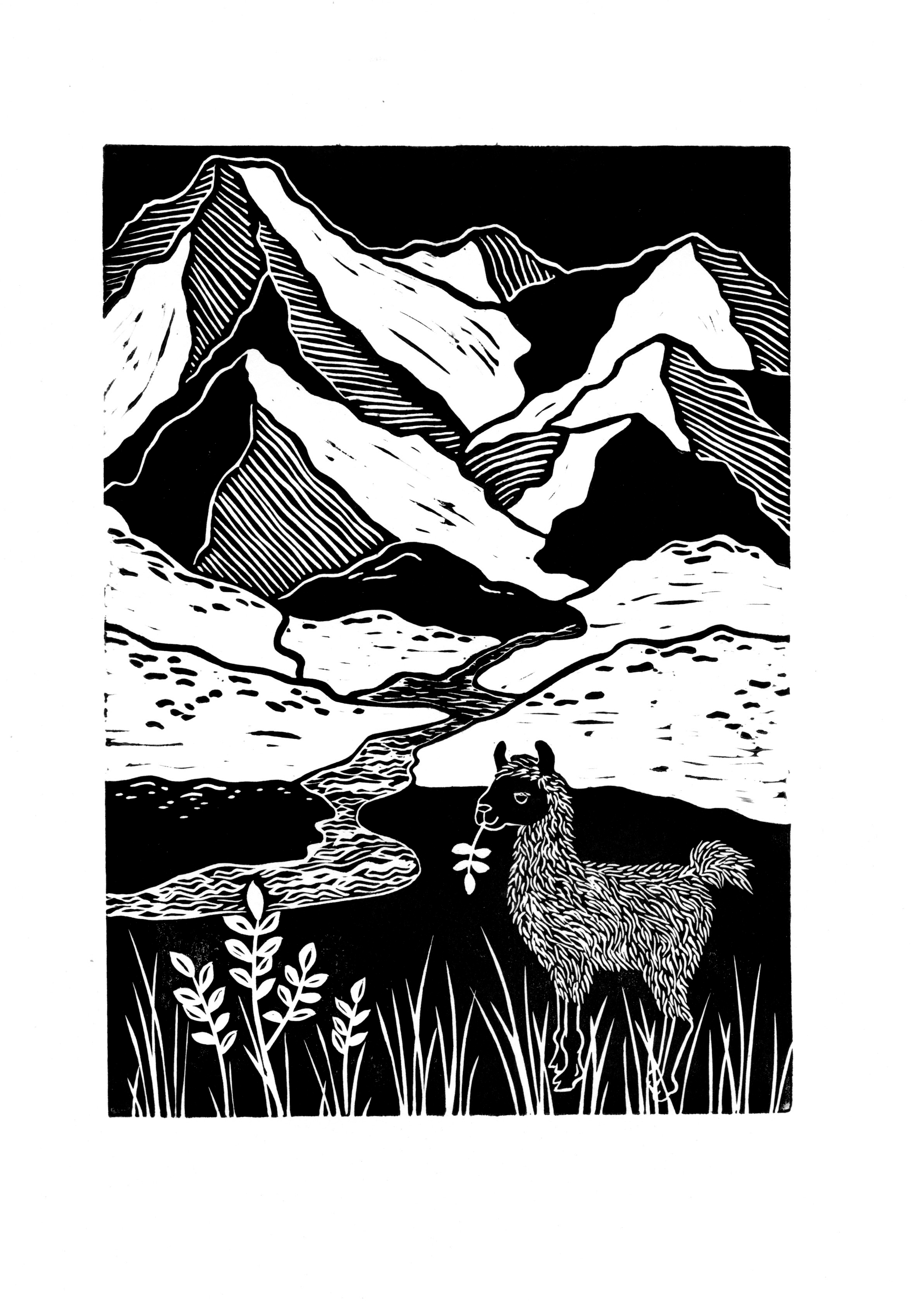 Ukázka ilustrace Bolívie od Kristiny Šaumanové