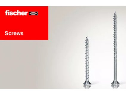 Fischer 551967 FPF-WT 6,0x300 ZPP 100