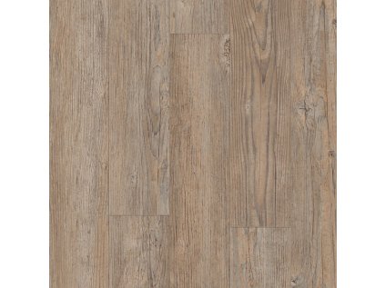 Vinyl TARKO CLIC 55 V 16004 Borovice hnědá