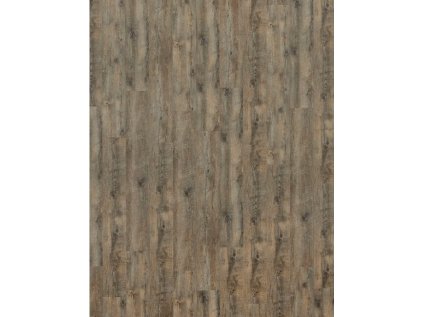 rigid plus 1708.jpg 1