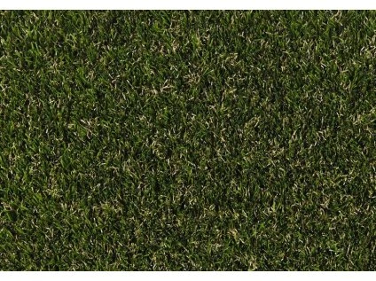 filename 1670 61f9316fdbe1f l