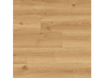 Vinyl A1 TARKO FIX 55 V 13042 Dub Creek natur