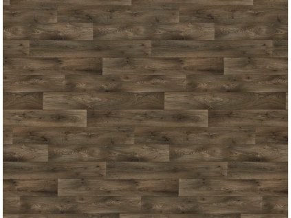 Snímek obrazovky 2026 03 12 065614