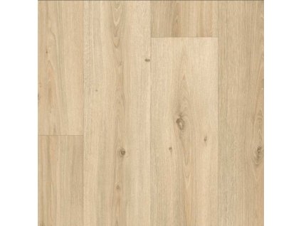 iconik 280t powell oak blonde