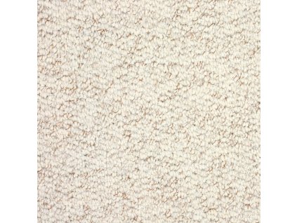 Koberec A1 COLOR 5719e3f215c6f